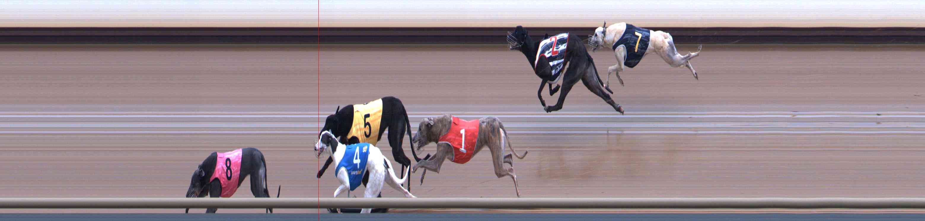 Photo finish for Healesville Race 12