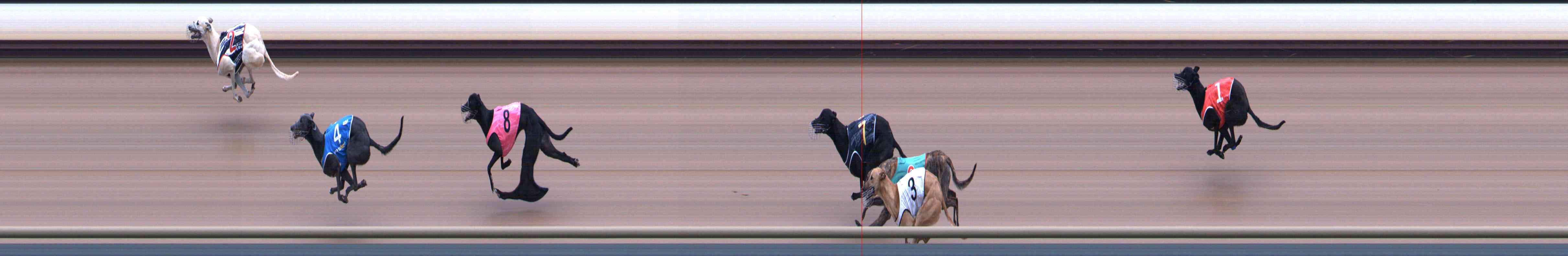Photo finish for Healesville Race 2