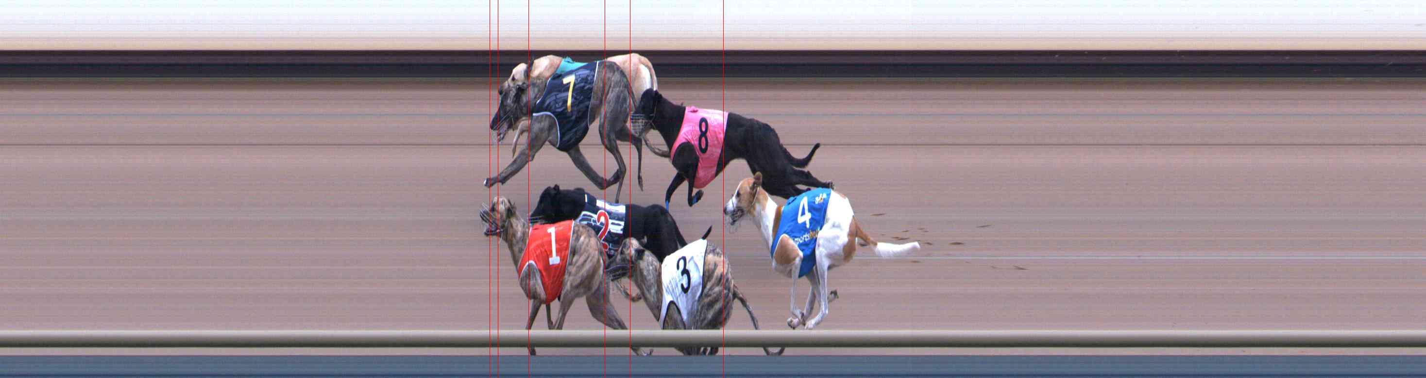 Photo finish for Healesville Race 3