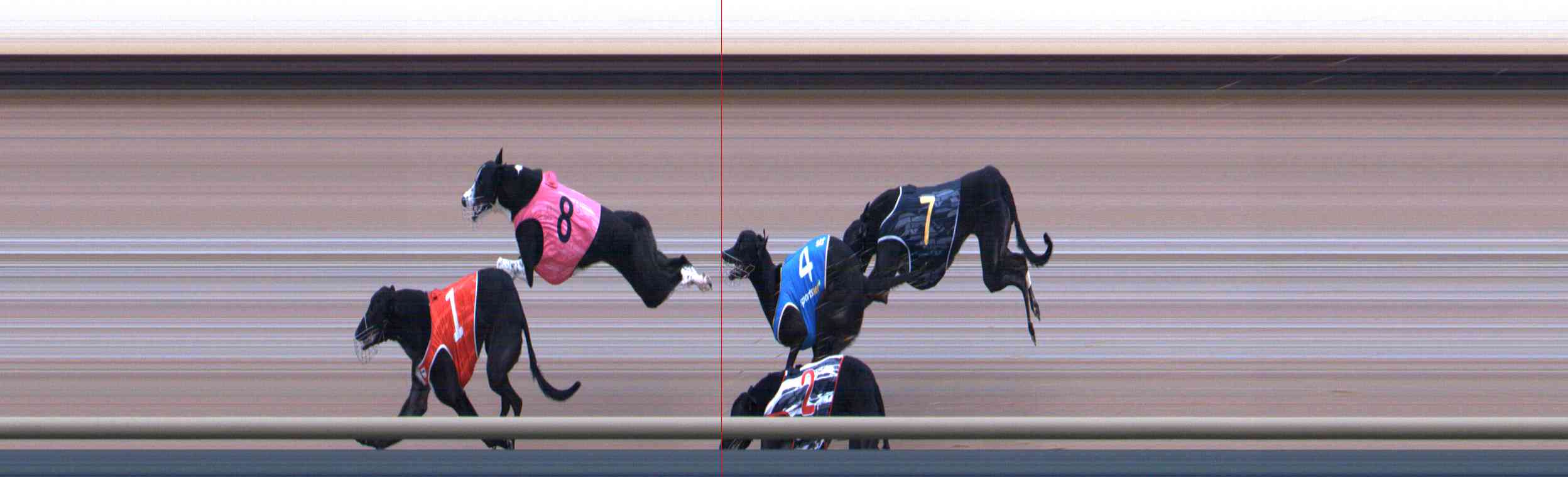 Photo finish for Healesville Race 4