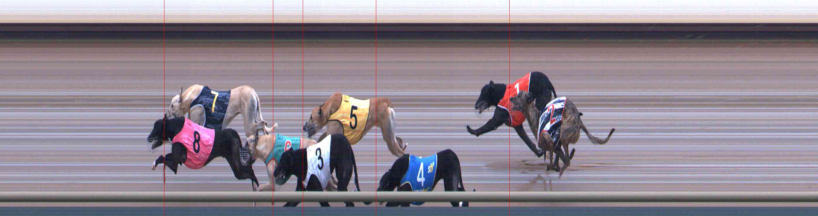 Photo finish for Healesville Race 5