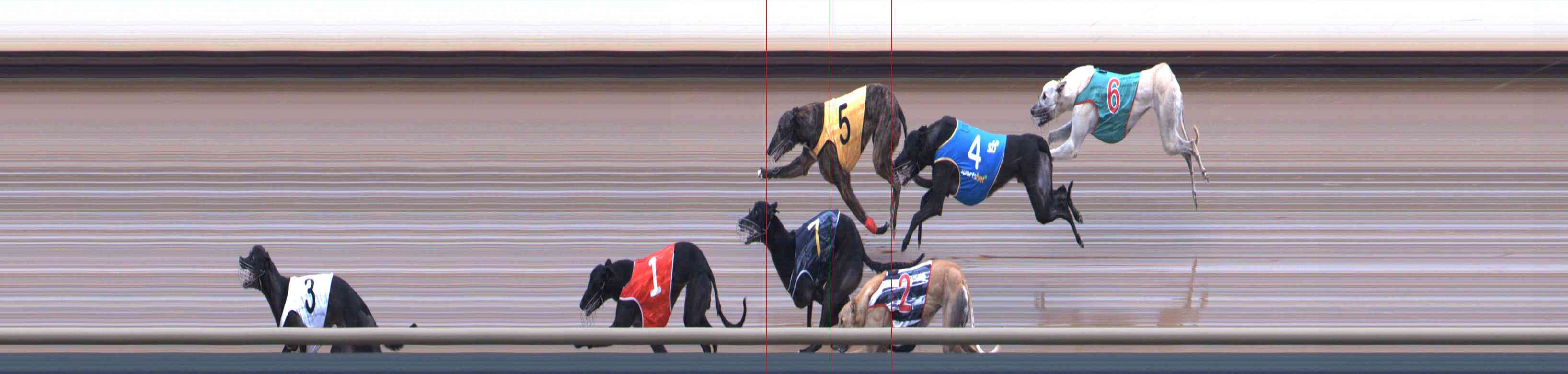 Photo finish for Healesville Race 6