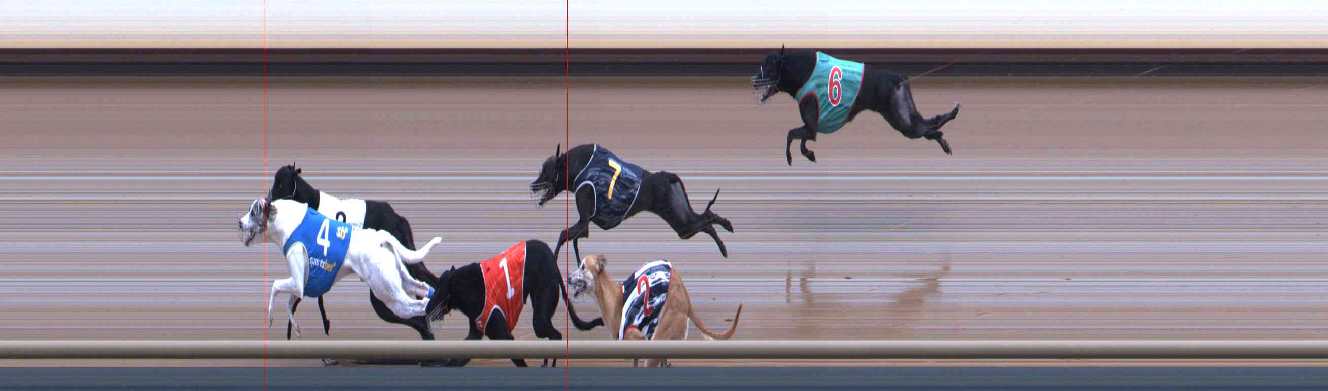 Photo finish for Healesville Race 7
