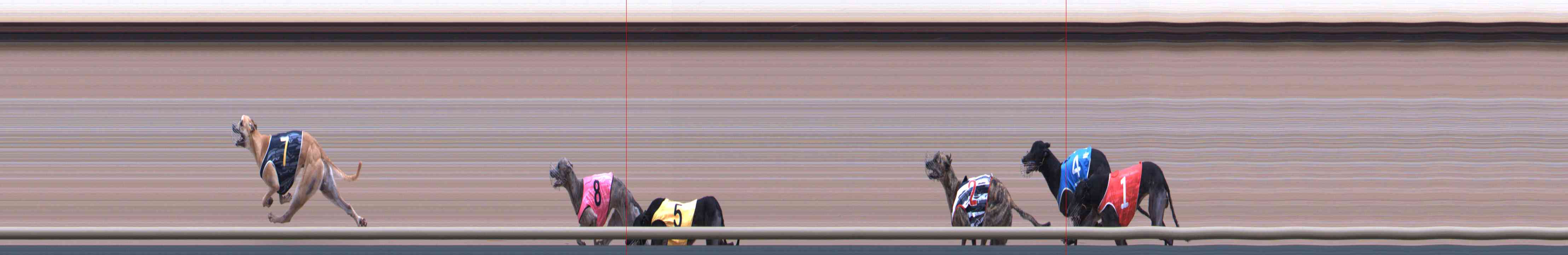Photo finish for Healesville Race 9