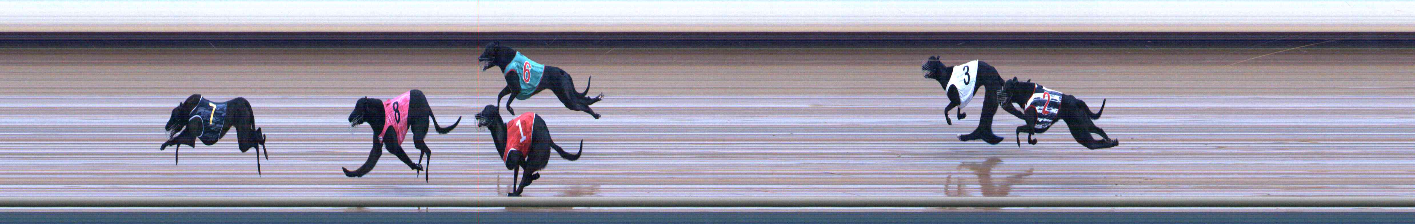 Photo finish for Healesville Race 1