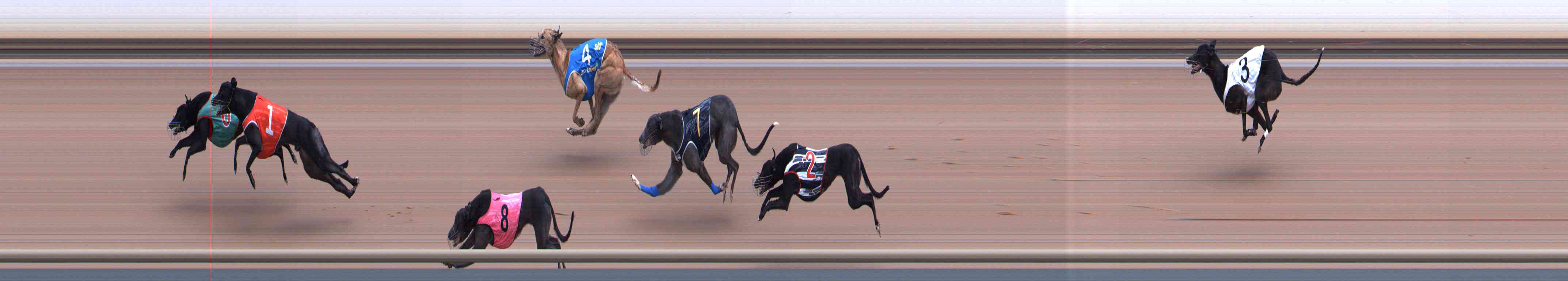 Photo finish for Healesville Race 10