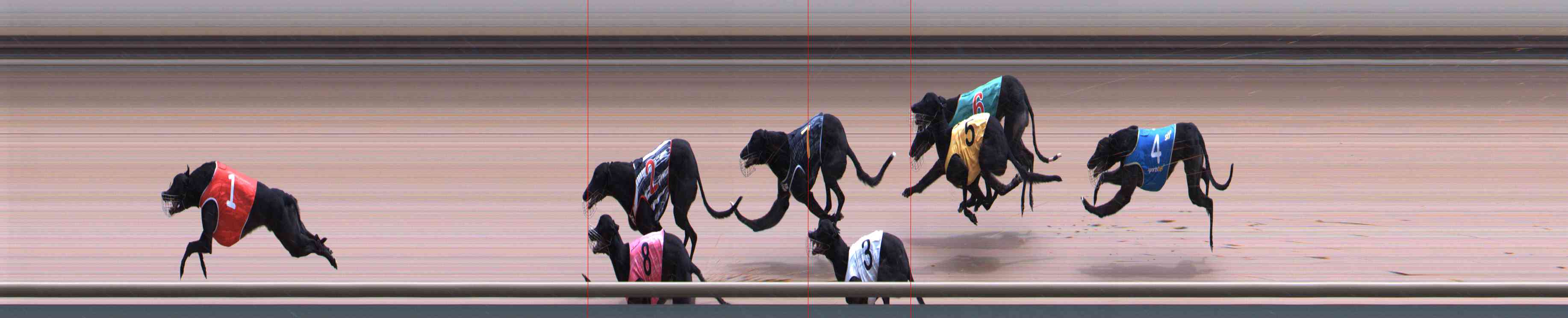 Photo finish for Healesville Race 11