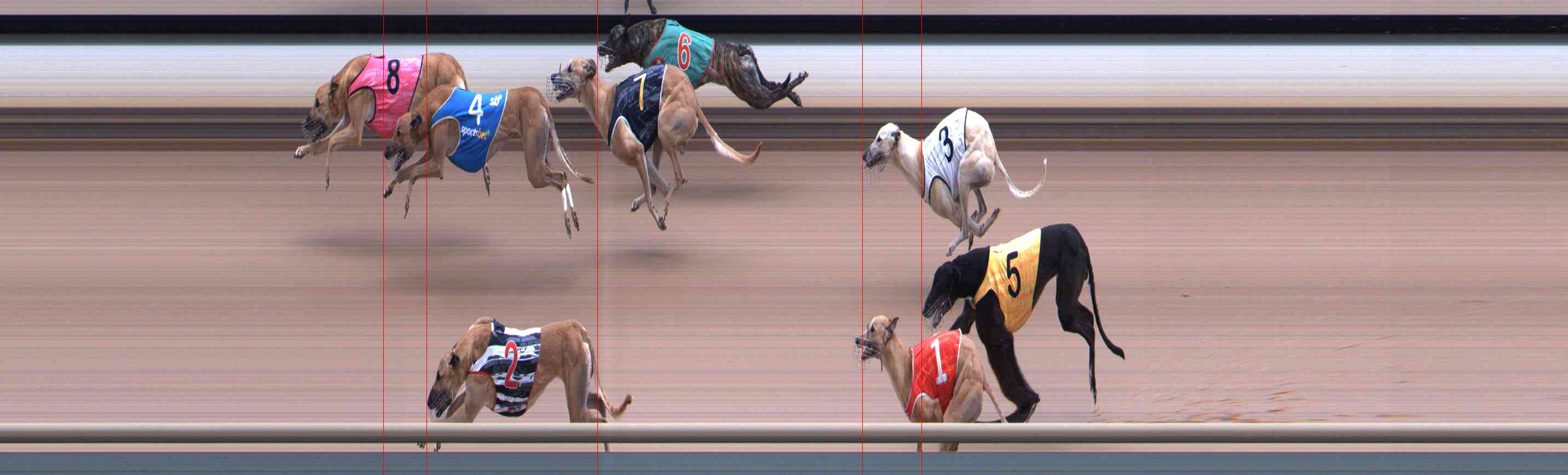 Photo finish for Healesville Race 12