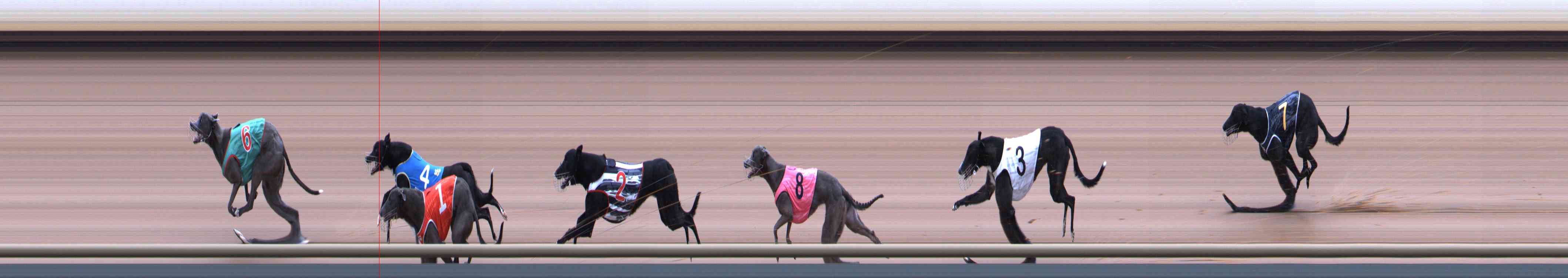 Photo finish for Healesville Race 3