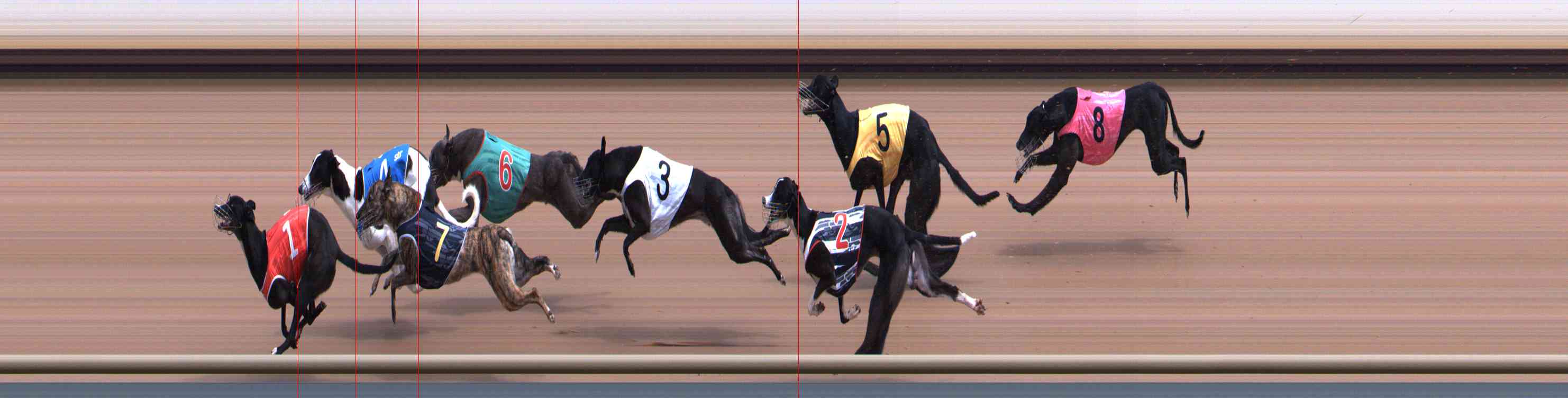 Photo finish for Healesville Race 4