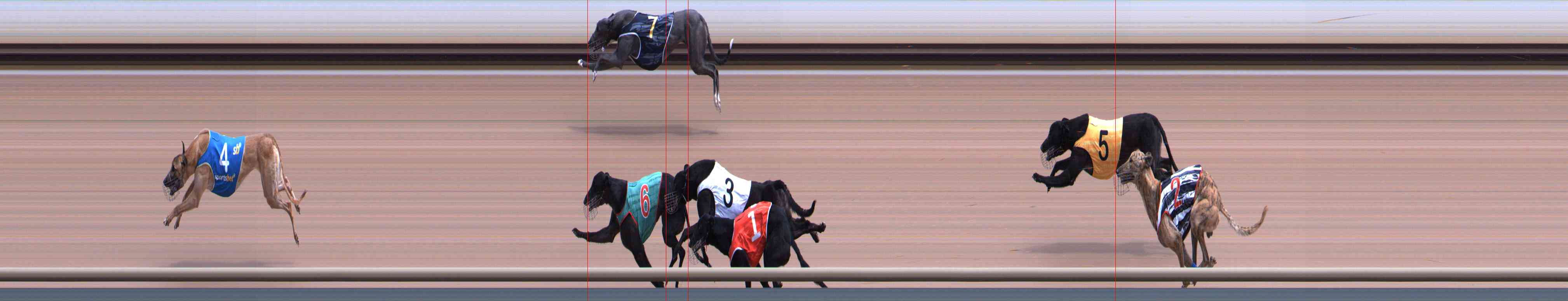 Photo finish for Healesville Race 5