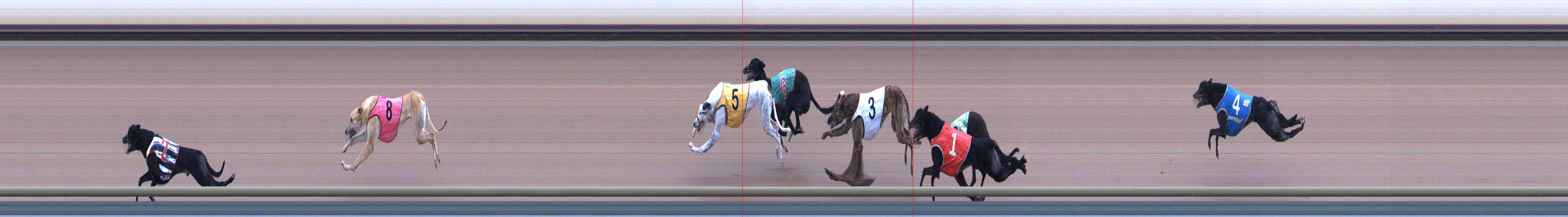 Photo finish for Healesville Race 6