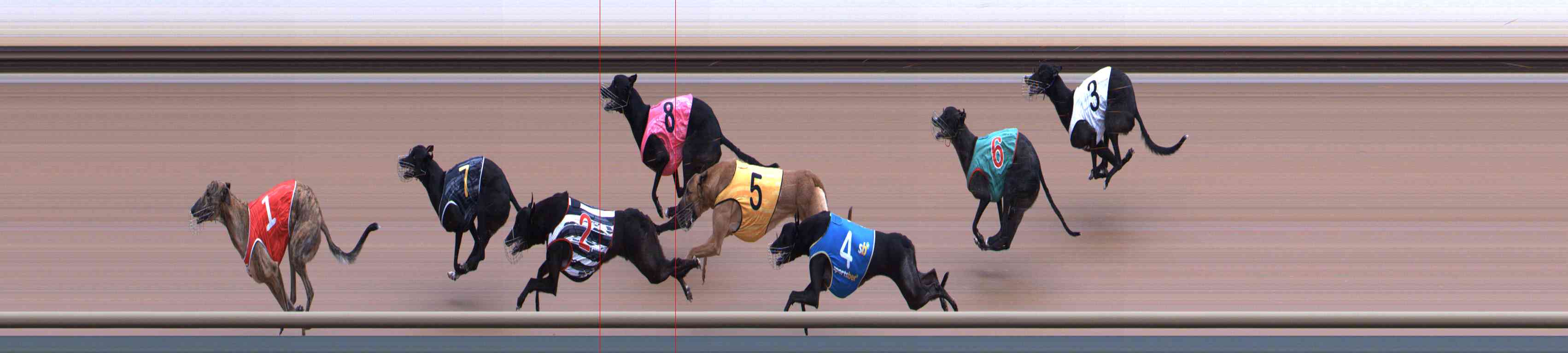 Photo finish for Healesville Race 7
