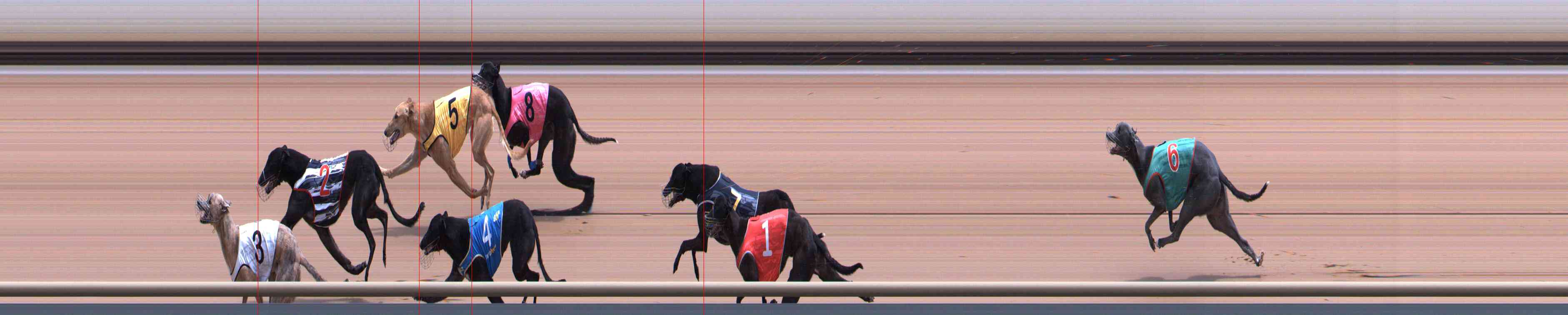 Photo finish for Healesville Race 8