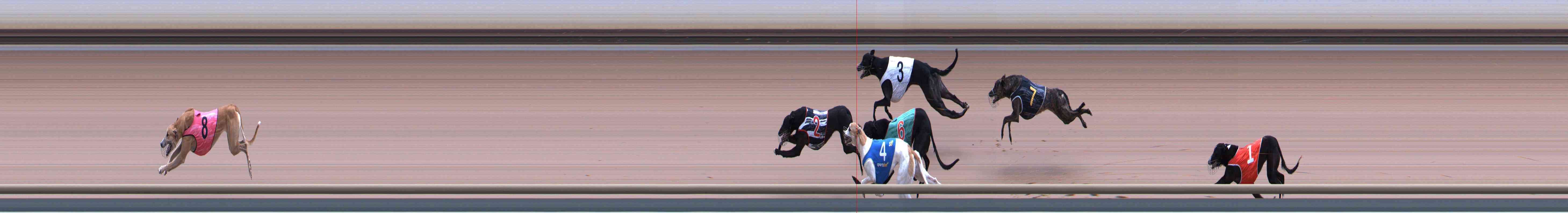 Photo finish for Healesville Race 9