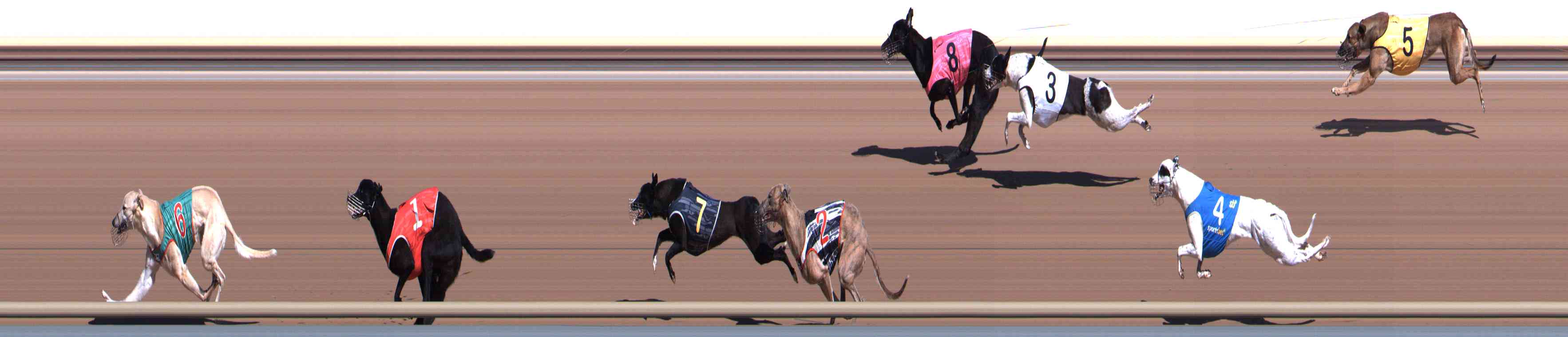 Photo finish for Healesville Race 1