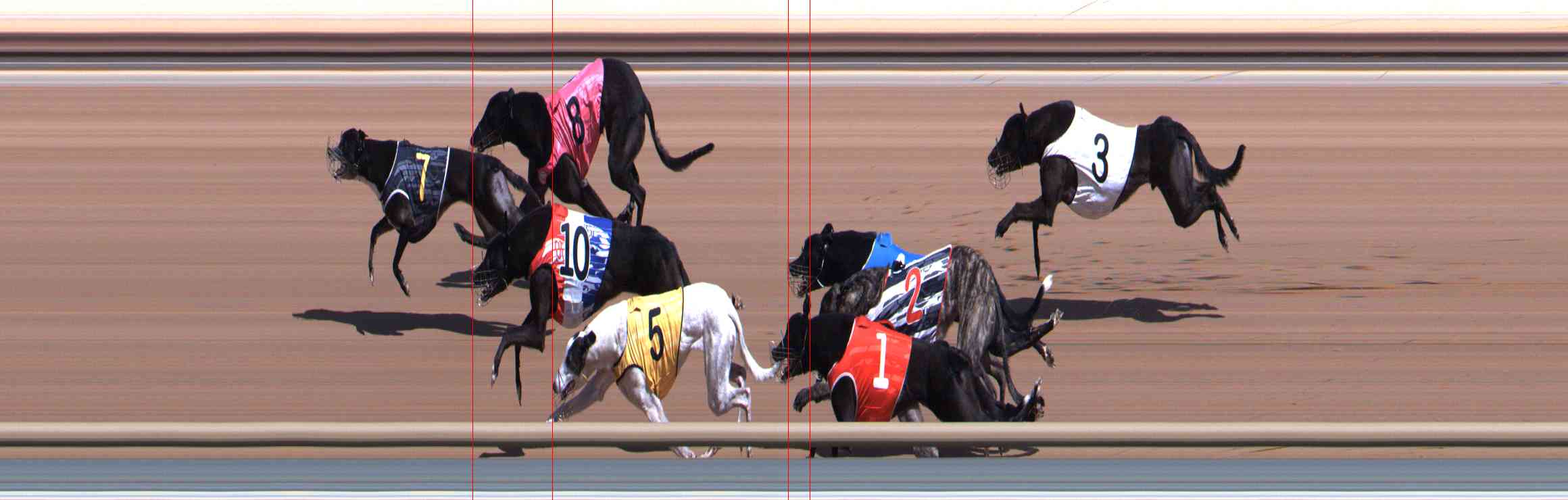 Photo finish for Healesville Race 3