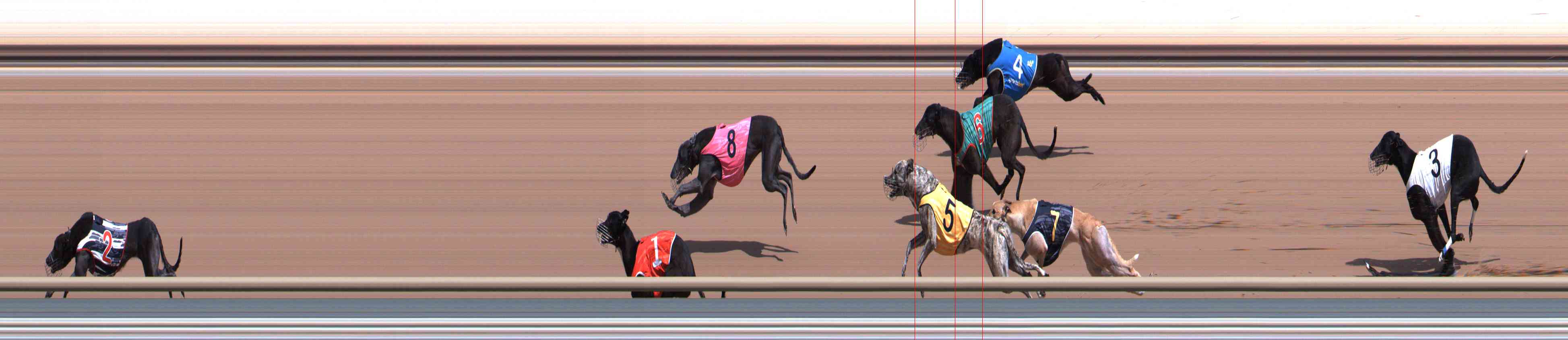 Photo finish for Healesville Race 4