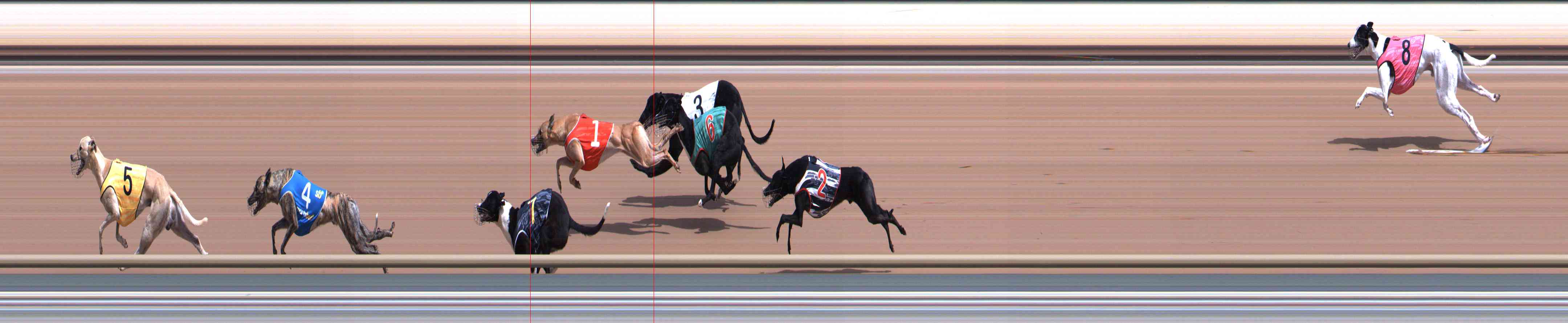 Photo finish for Healesville Race 5