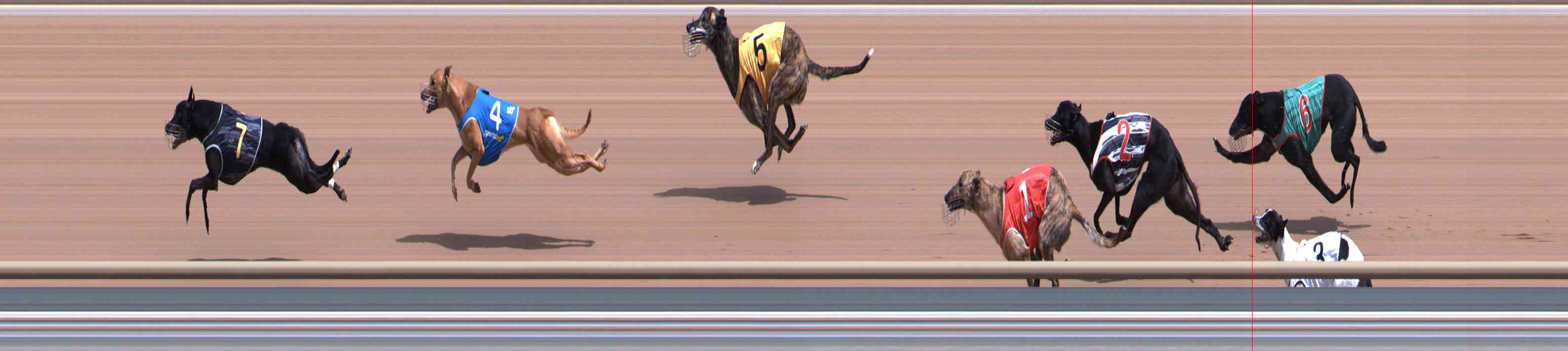 Photo finish for Healesville Race 6