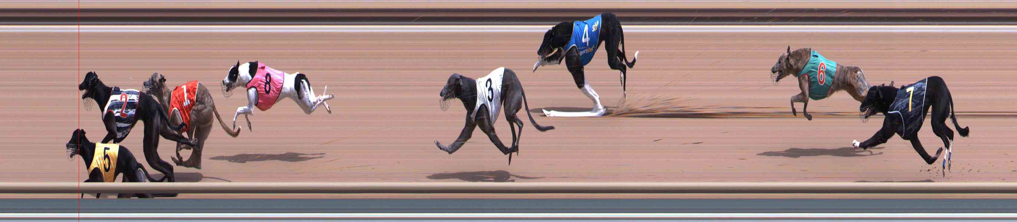 Photo finish for Healesville Race 7