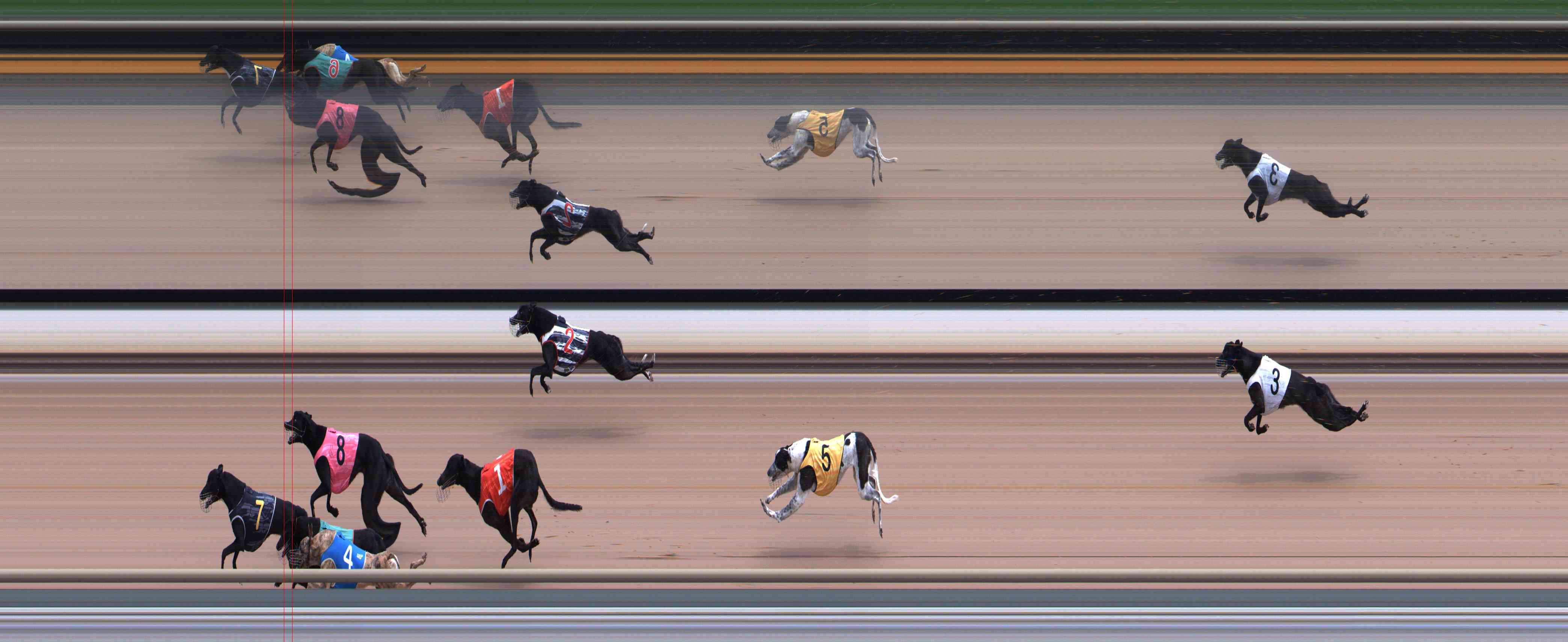 Photo finish for Healesville Race 9