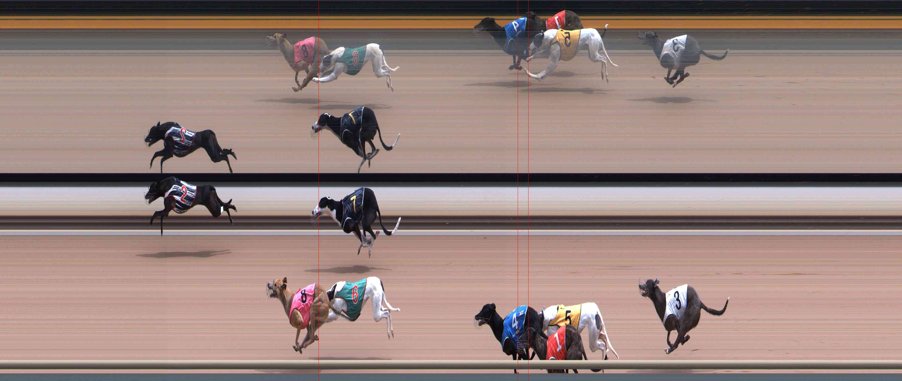 Photo finish for Healesville Race 10