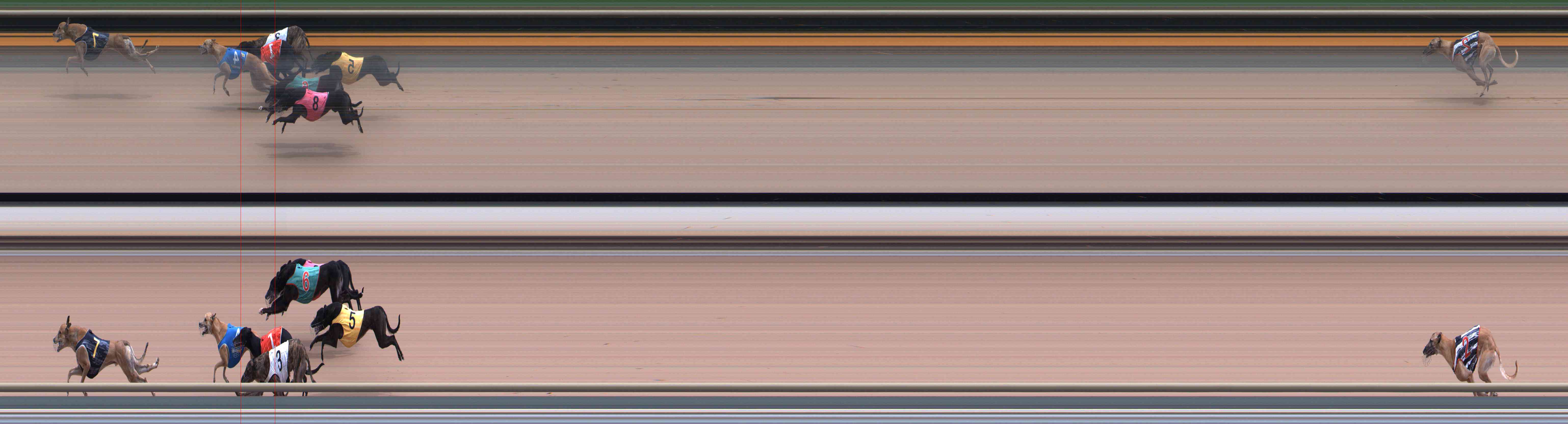 Photo finish for Healesville Race 11