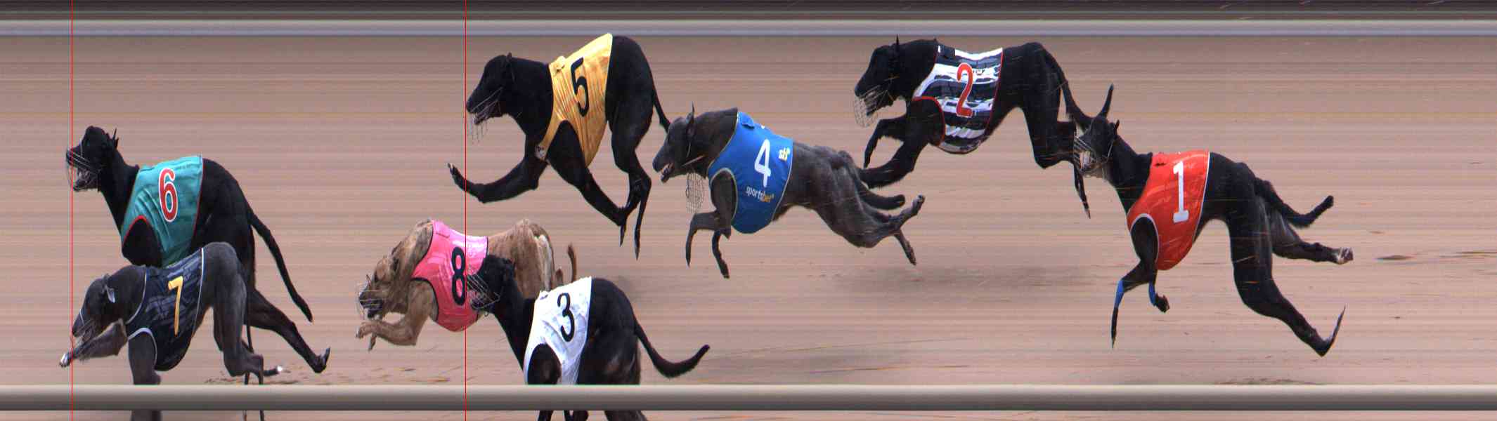 Photo finish for Healesville Race 12