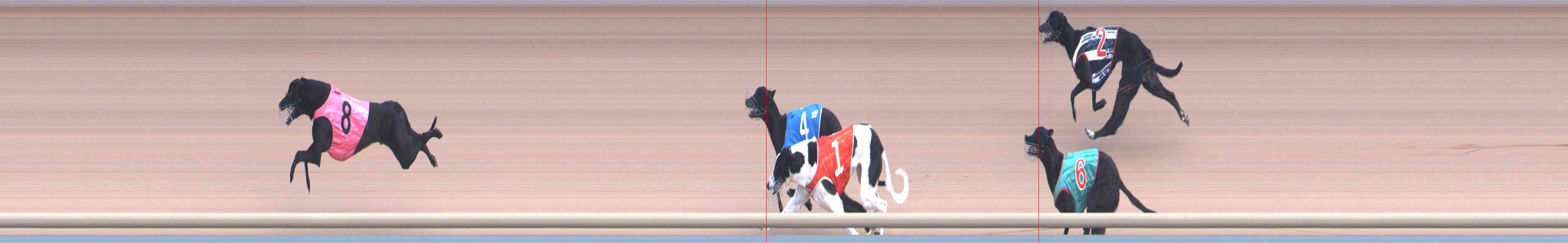 Photo finish for Healesville Race 1