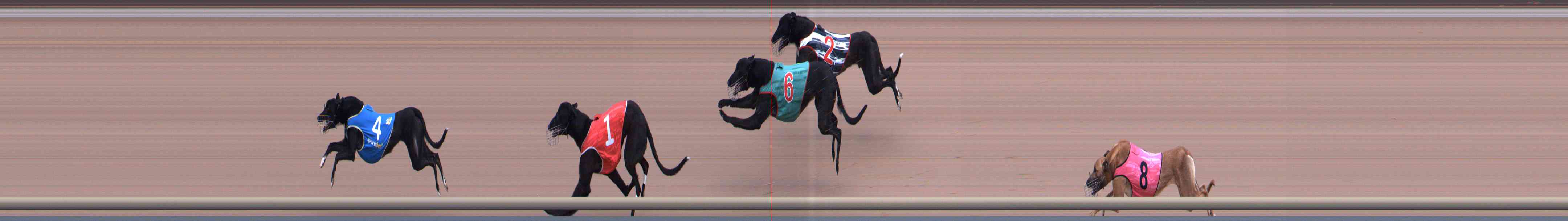 Photo finish for Healesville Race 2
