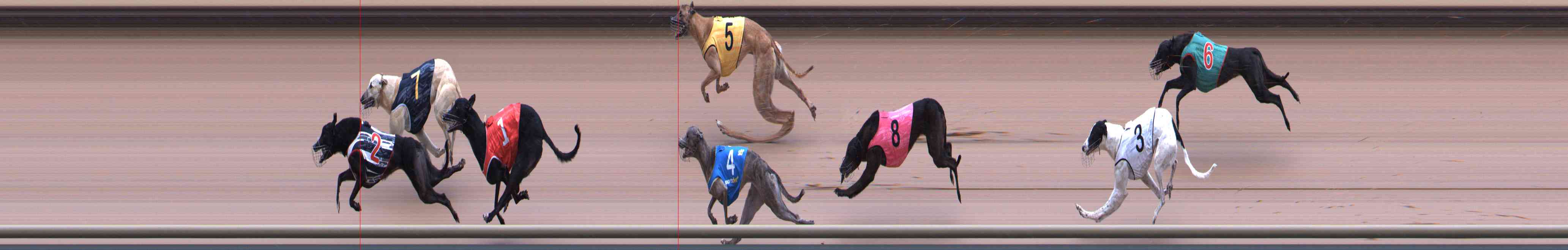 Photo finish for Healesville Race 3