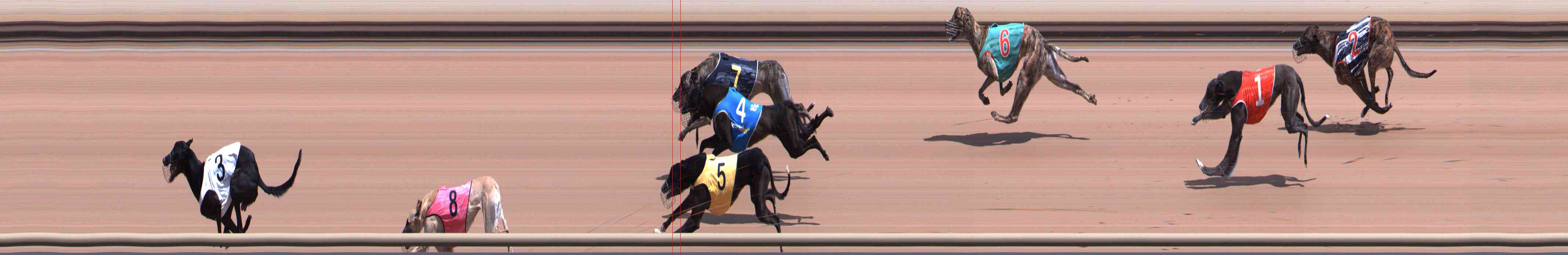 Photo finish for Healesville Race 4