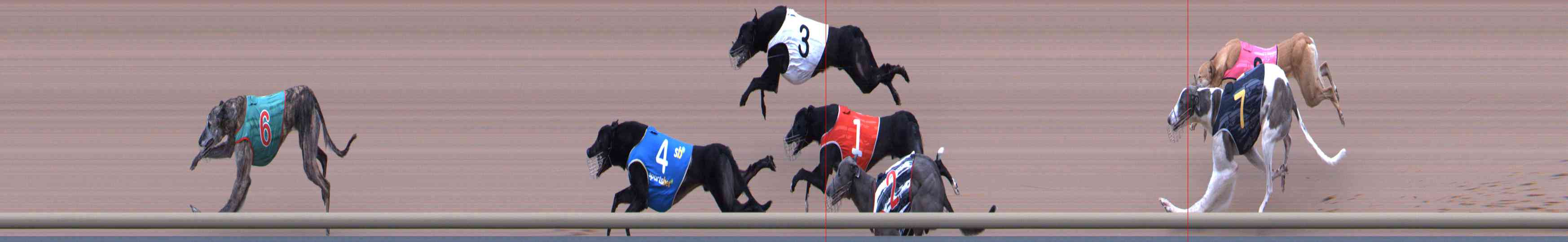 Photo finish for Healesville Race 5