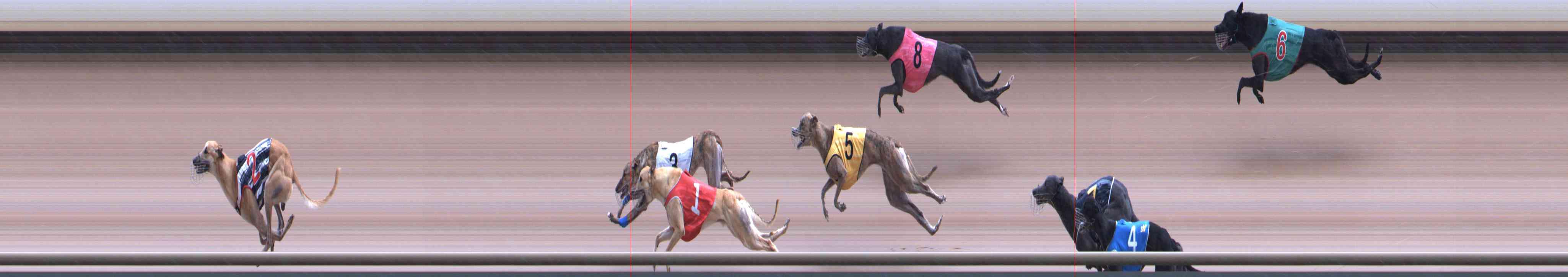 Photo finish for Healesville Race 6