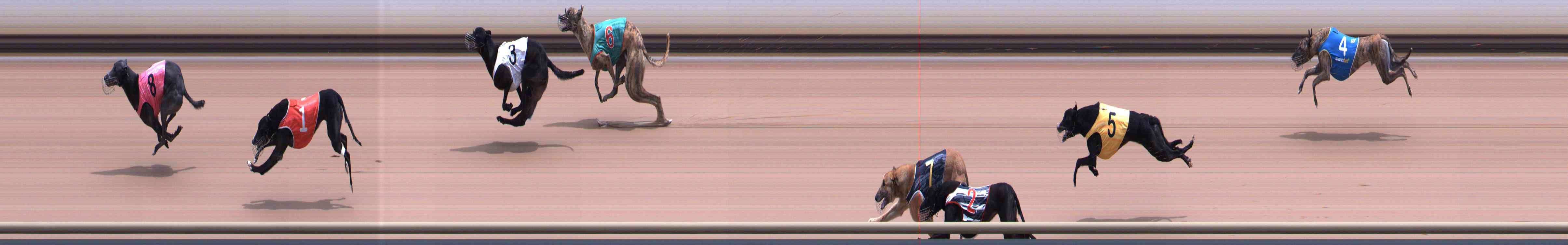 Photo finish for Healesville Race 7