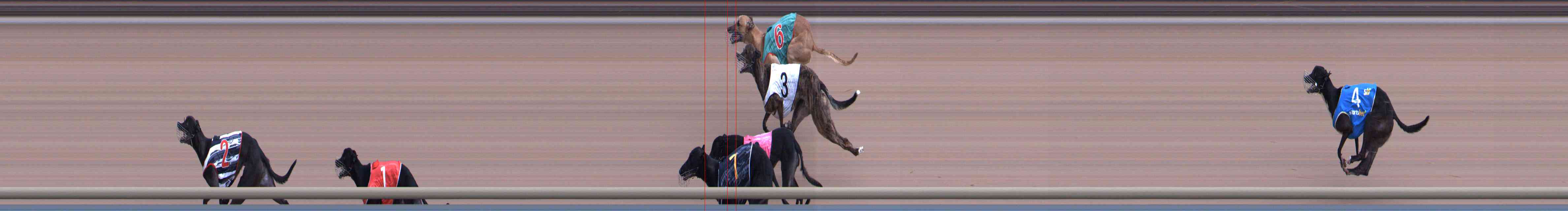 Photo finish for Healesville Race 8