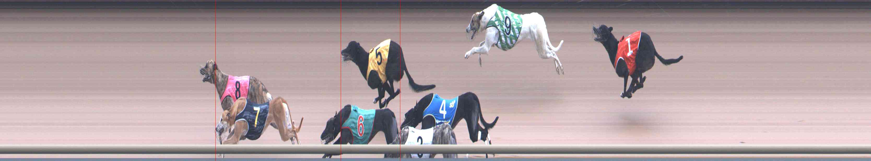 Photo finish for Healesville Race 9