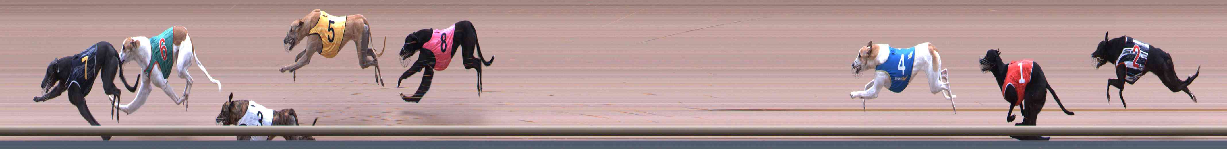 Photo finish for Healesville Race 10