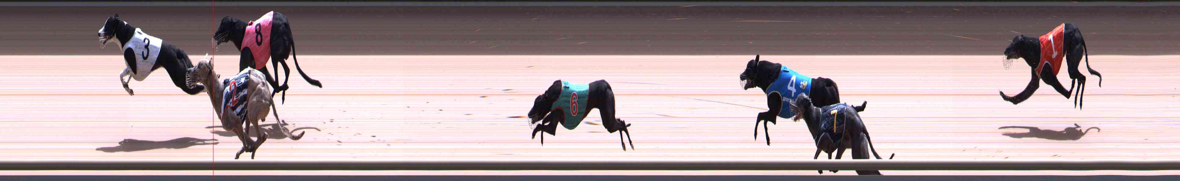 Photo finish for Healesville Race 11