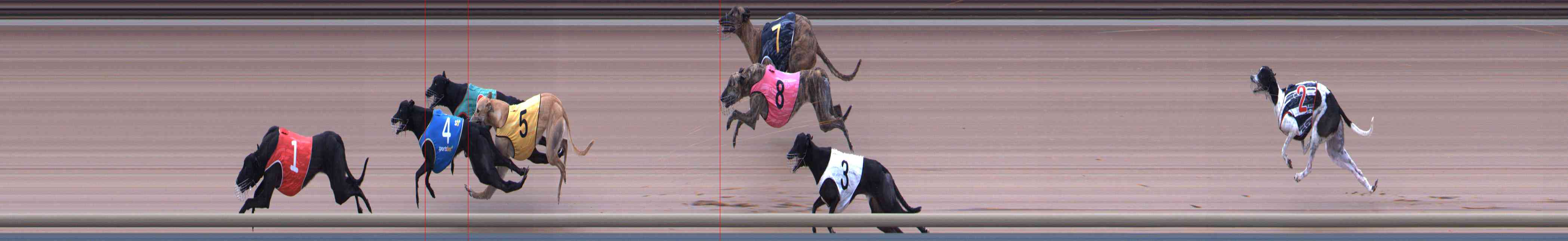 Photo finish for Healesville Race 12