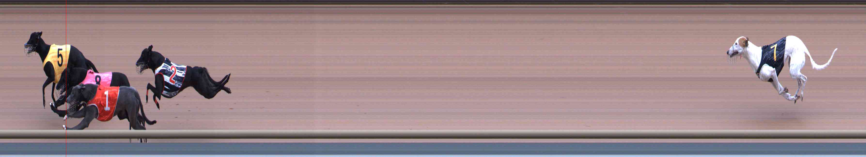 Photo finish for Healesville Race 1