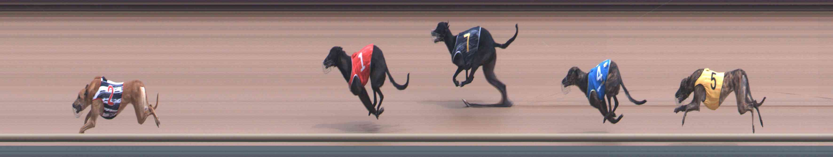 Photo finish for Healesville Race 2