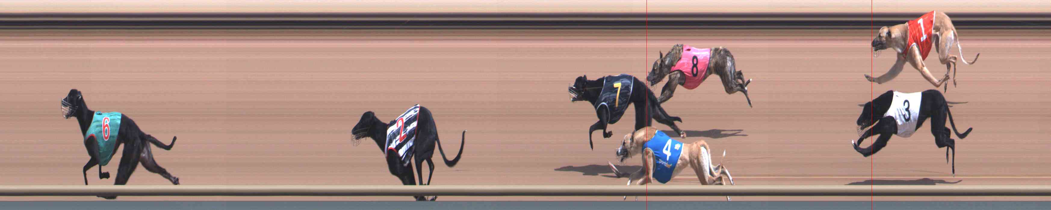 Photo finish for Healesville Race 3