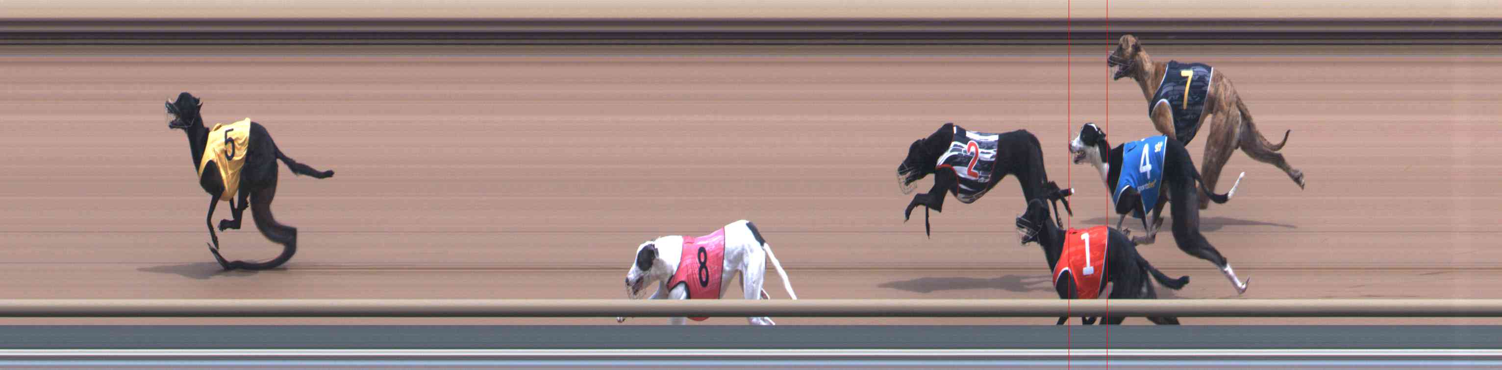 Photo finish for Healesville Race 4