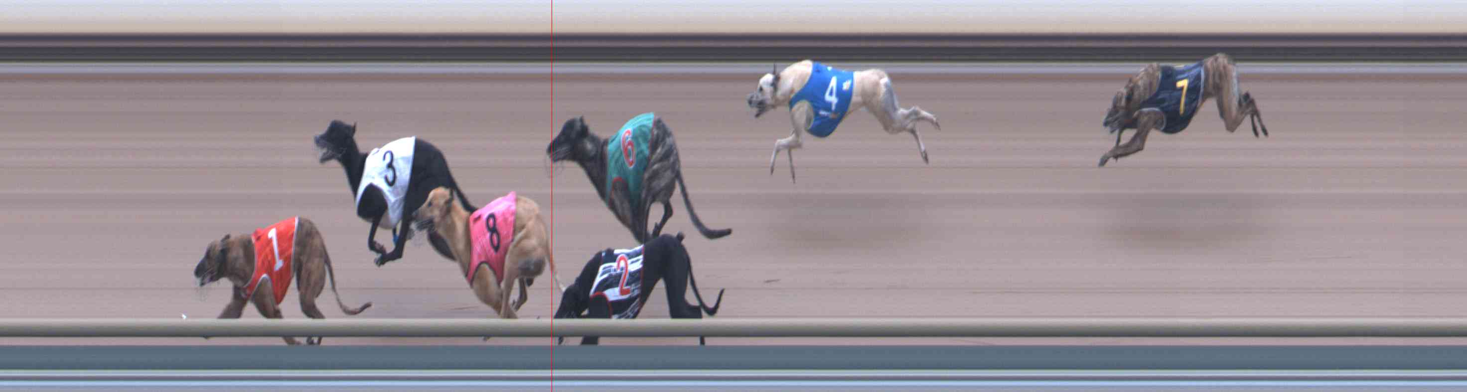 Photo finish for Healesville Race 5