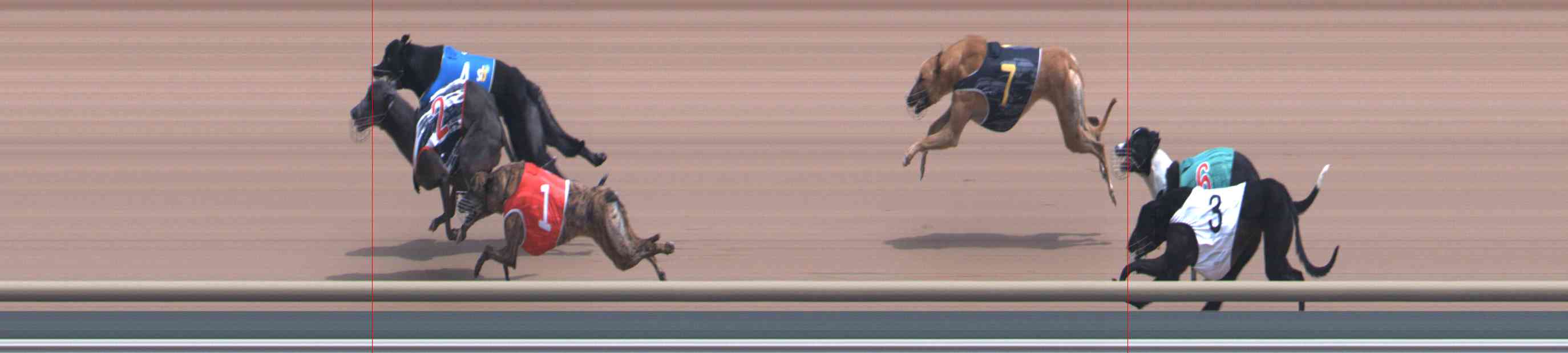 Photo finish for Healesville Race 6