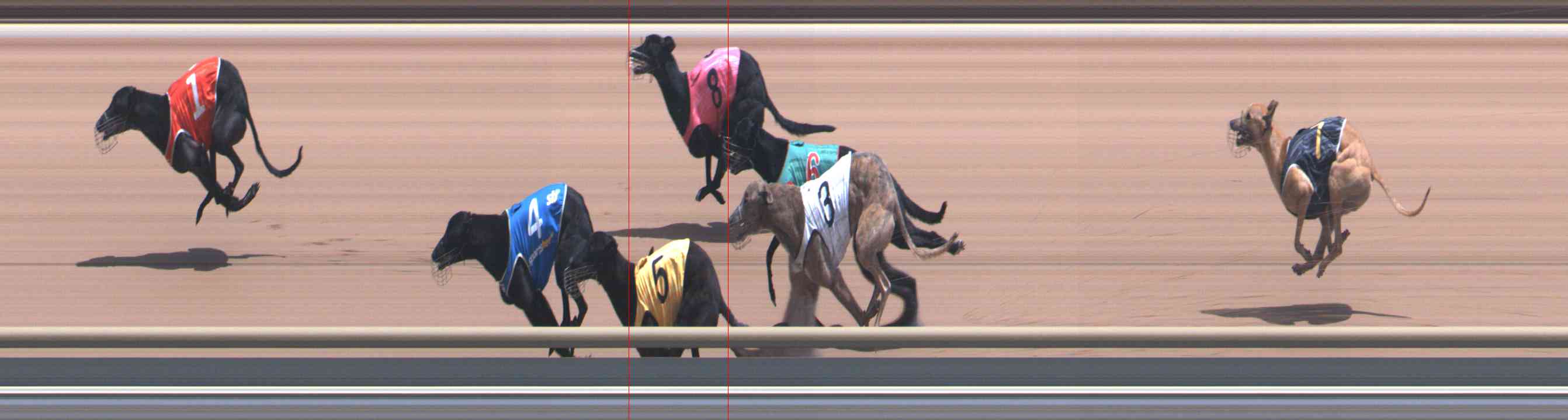 Photo finish for Healesville Race 7