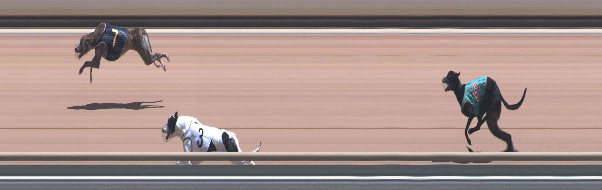 Photo finish for Healesville Race 8
