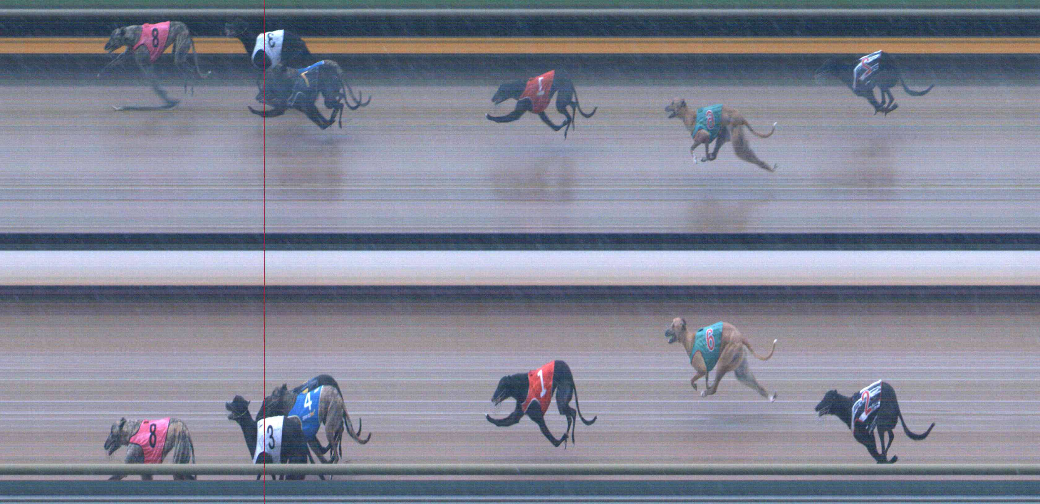 Photo finish for Healesville Race 10